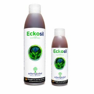 Eckosil Silicon Supplement