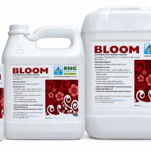 EHG Bloom